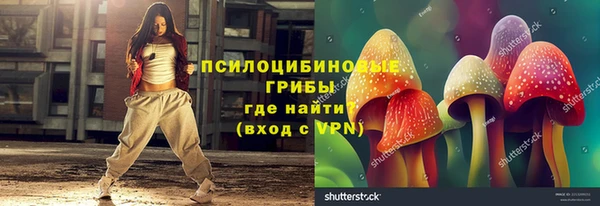 не бодяженный Алексин