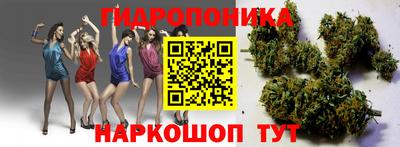 ГАЛЛЮЦИНОГЕННЫЕ ГРИБЫ Шахты