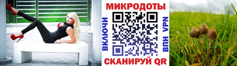 KRAKEN сайт Слободской Псилоцибиновые грибы мухоморы даркнет сайт