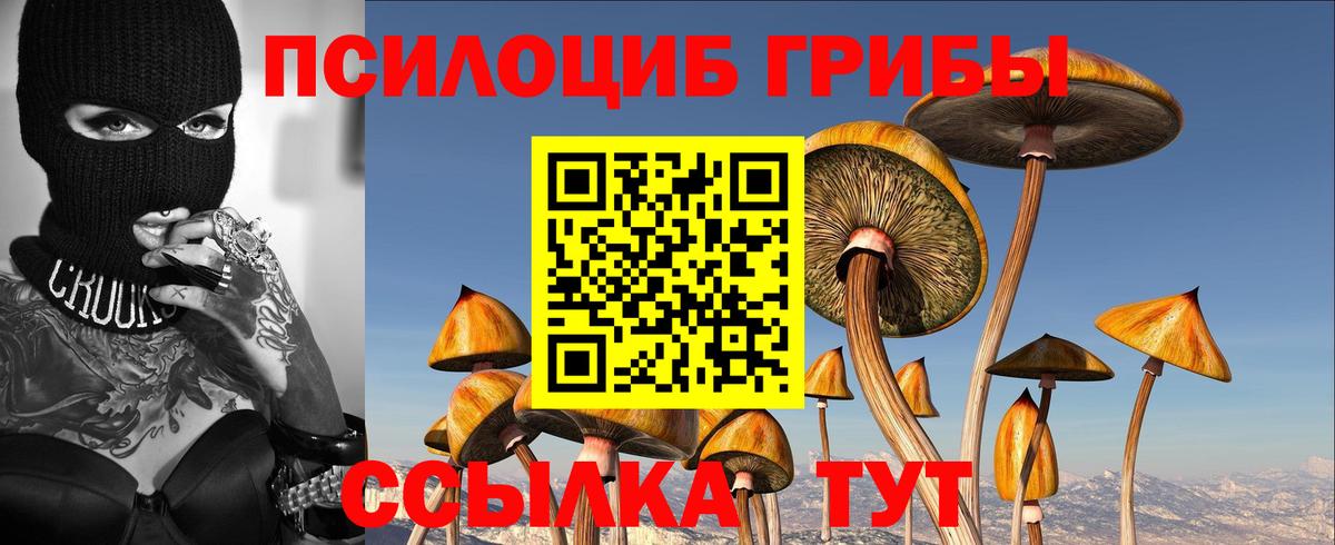 Галлюциногенные грибы мицелий  Вход с VPN  Слободской 